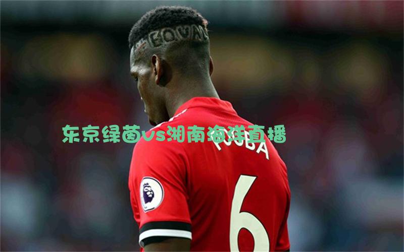 日职联比赛东京绿茵vs湘南海洋直播