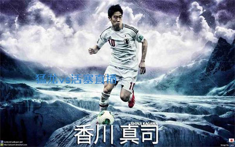 nba比赛猛龙vs活塞直播